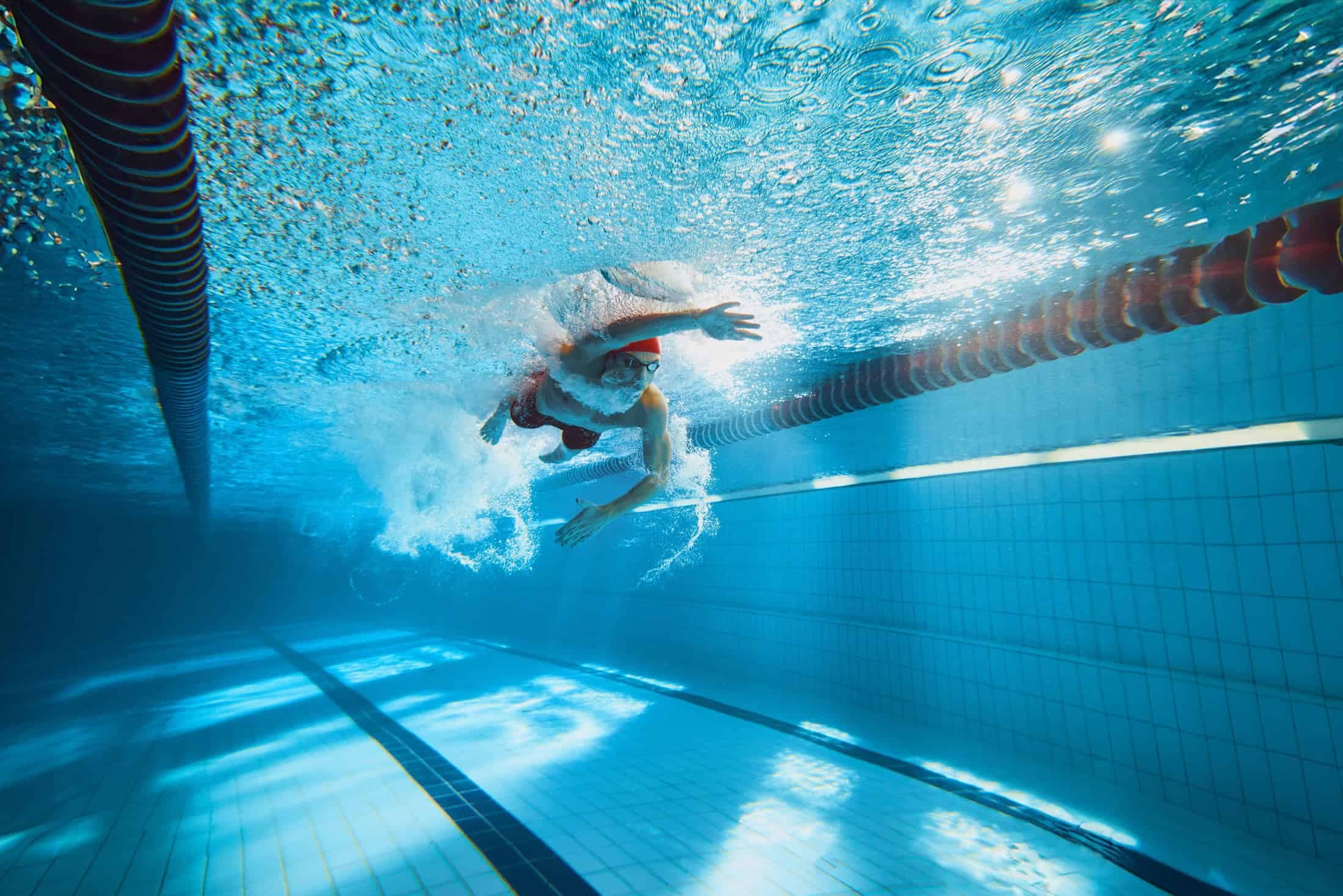Imagem: Master1305/Shutterstock