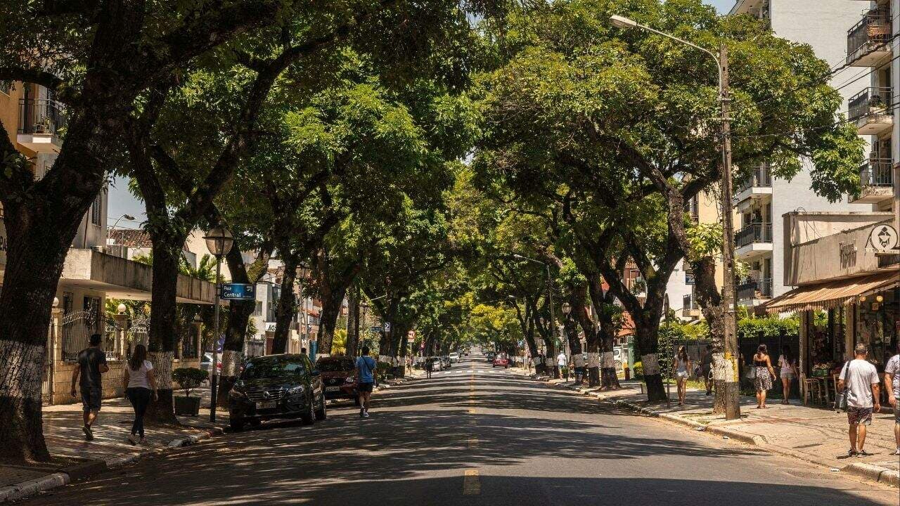 Árvores urbanas reduzem ilhas de calor e melhoram conforto climático - Imagem criada por inteligência artificial (ChatGPT / Olhar Digital)