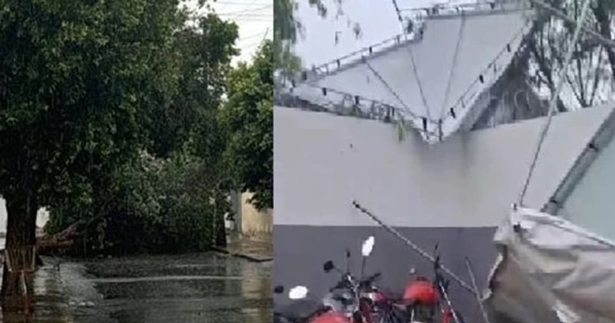 Foto: Reprodução / Achei Sudoeste