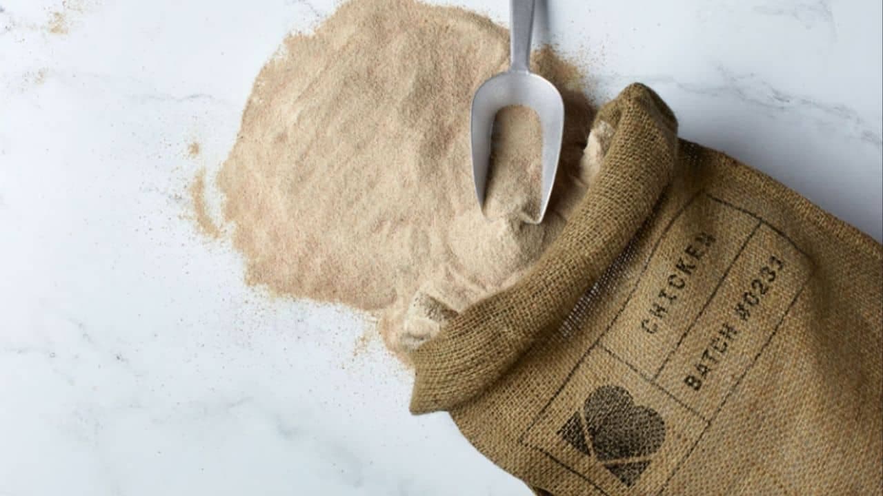 A carne feita em laboratório para pets que promete ser muito mais sustentável e saudável - Créditos: Bond Pet Foods / Divulgação