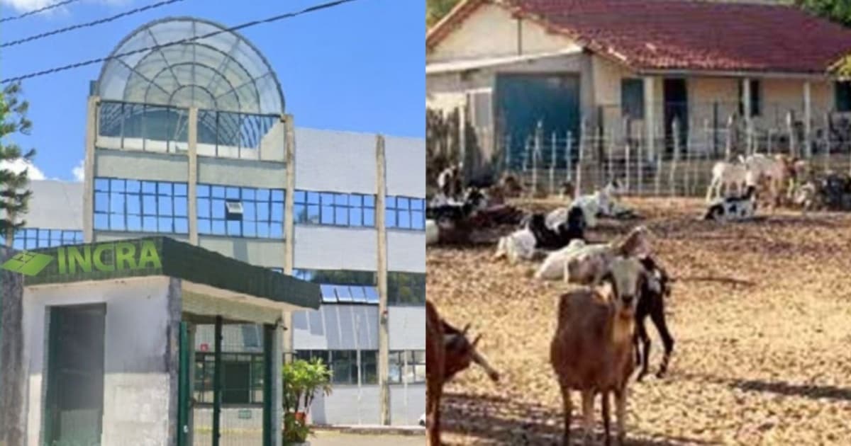 Fotos: Reprodução / Google Street View / Redes Sociais