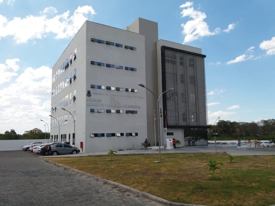 Flor laranja símbolo da campanha Maio Laranja de combate ao abuso sexual infantil