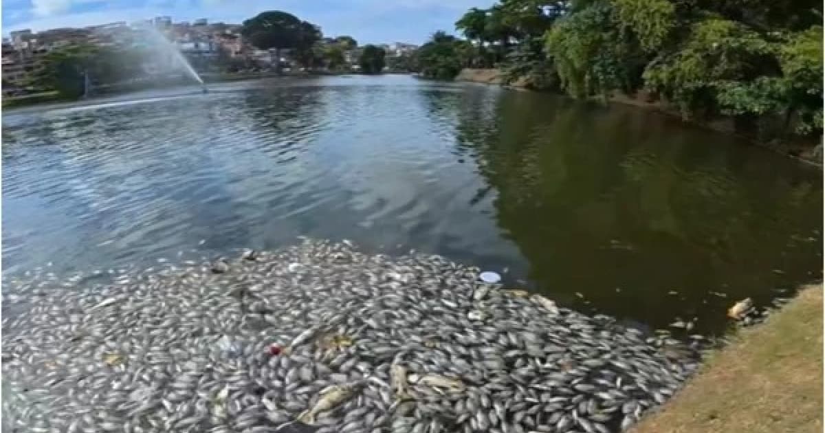 Foto: Reprodução / TV Bahia