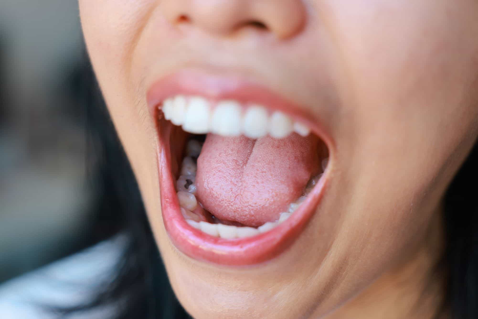 (Imagem: TripleP Studio/Shutterstock.com)