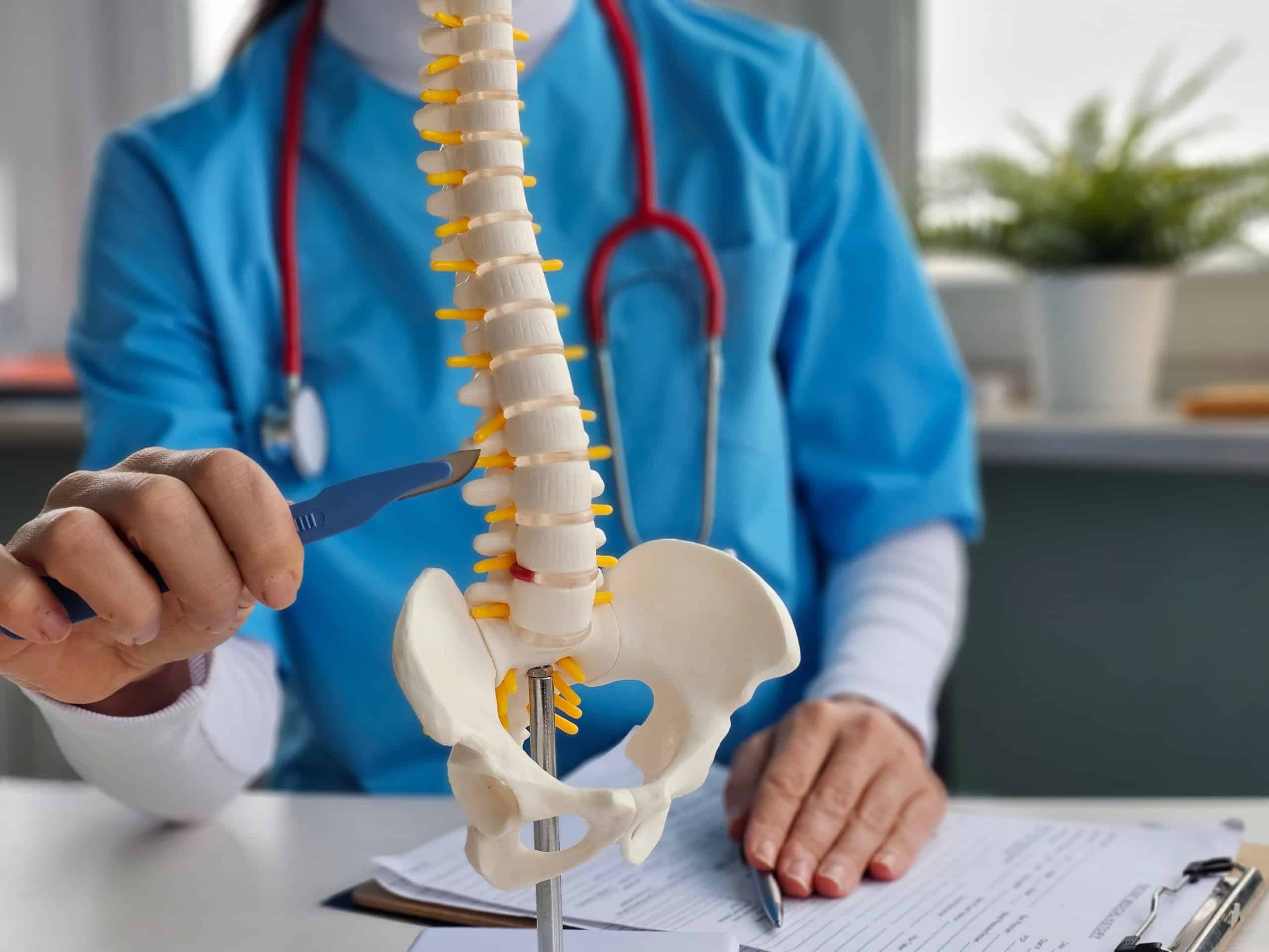 Novidade abre caminho para a regeneração da medula espinhal (Imagem: NMK-Studio
/Shutterstock)
