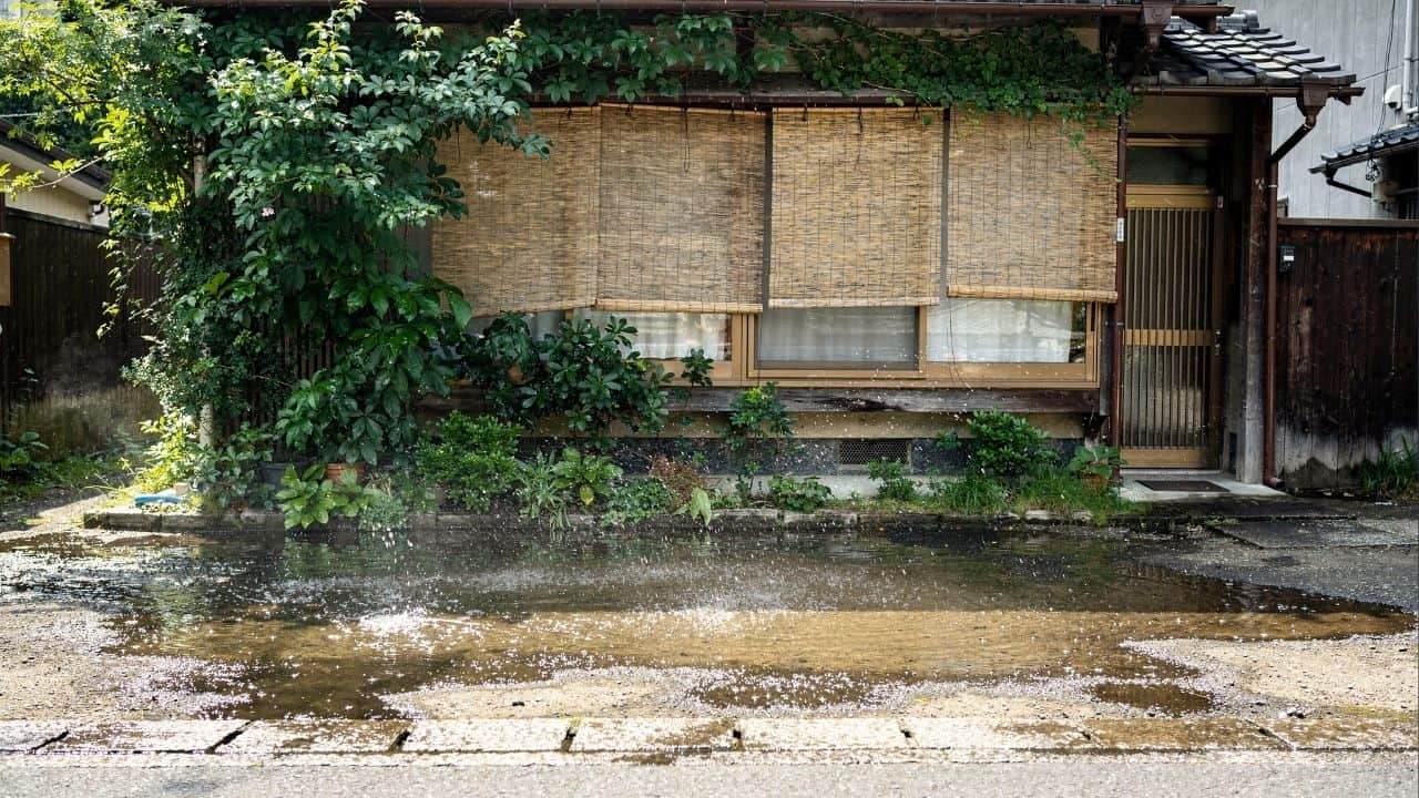 Técnicas japonesas como uchimizu e cortinas verdes reduzem calor interno sem depender do ar-condicionado - Imagem gerada por inteligência artificial. (ChatGPT / Olhar Digital)