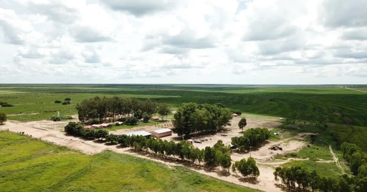 Foto ilustrativa: Divulgação / BrasilAgro