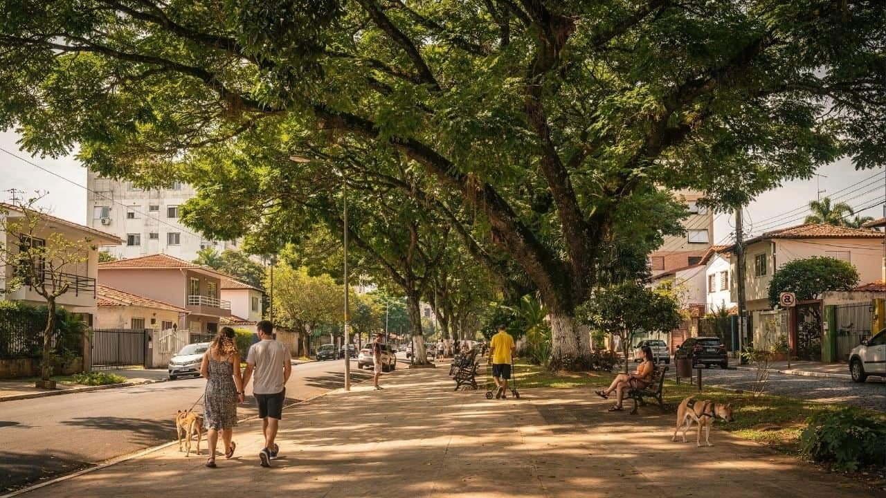 Árvores urbanas melhoram saúde mental e reduzem estresse nas cidades - Imagem criada por inteligência artificial (ChatGPT / Olhar Digital)