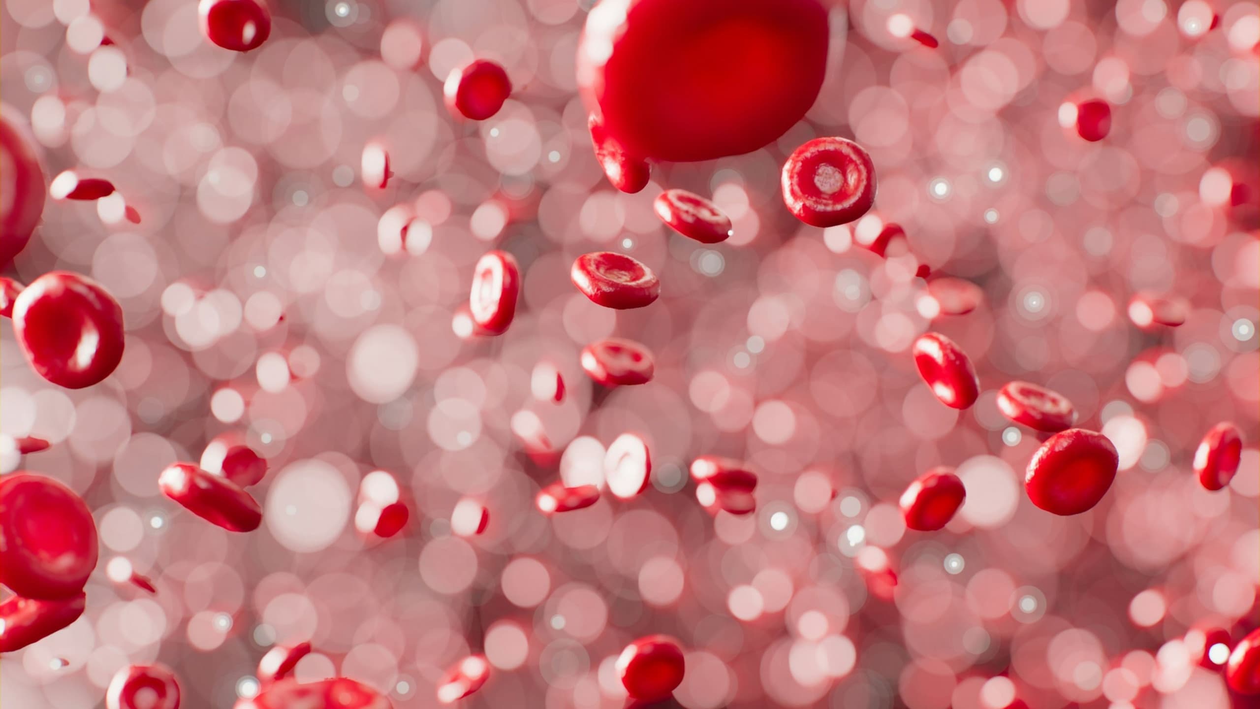Hemácia é o nome da célula do sangue (Reprodução:
Anirudh/Unsplash)