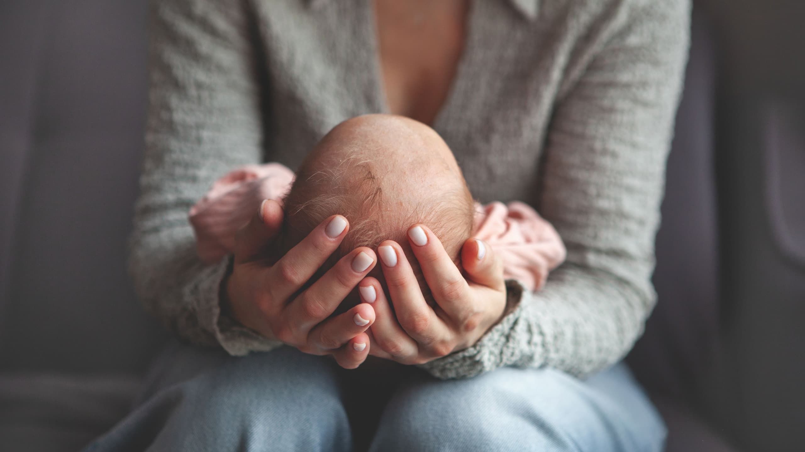 (Imagem: Anna Zhukkova/Shutterstock)