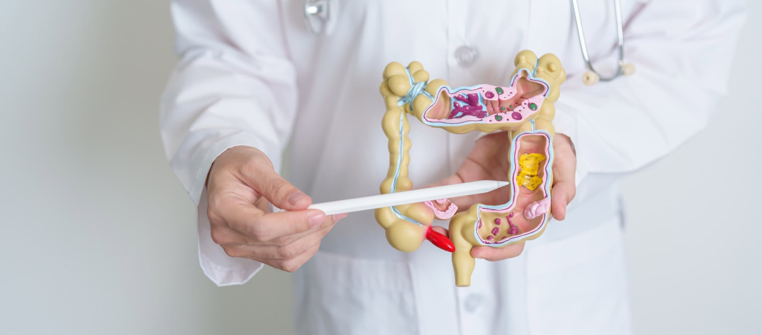 (Imagem: Jo Panuwat D / Shutterstock)