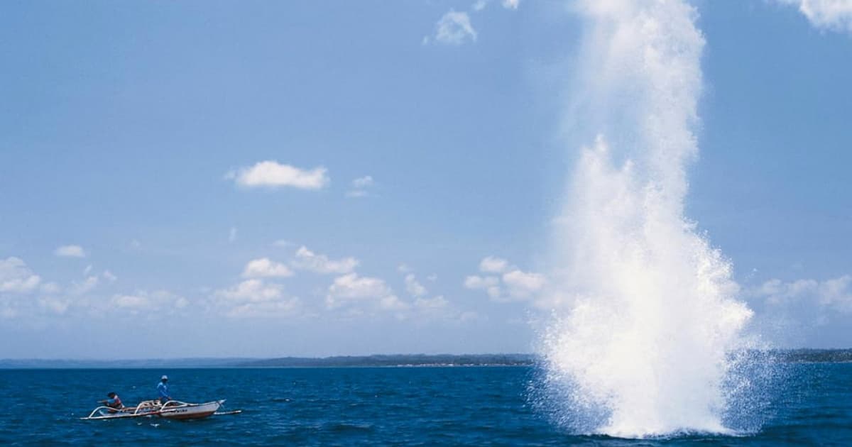 Foto: Reprodução / National Geographic