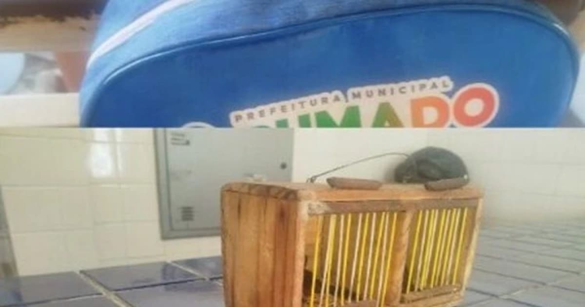 Foto: Reprodução/Achei Sudoeste