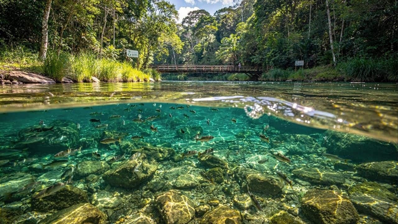 Bonito tornou-se referência mundial em ecoturismo com controle rigoroso e conservação ambiental - Imagem criada por inteligência artificial (ChatGPT / Olhar Digital)