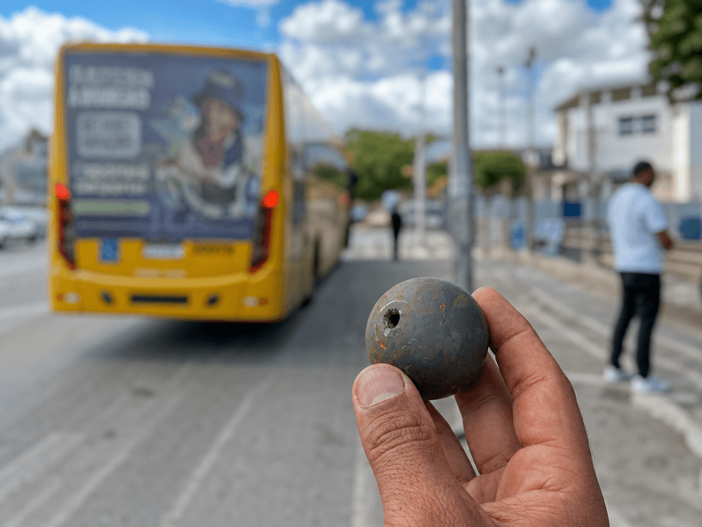 Portal ChicoSabeTudo