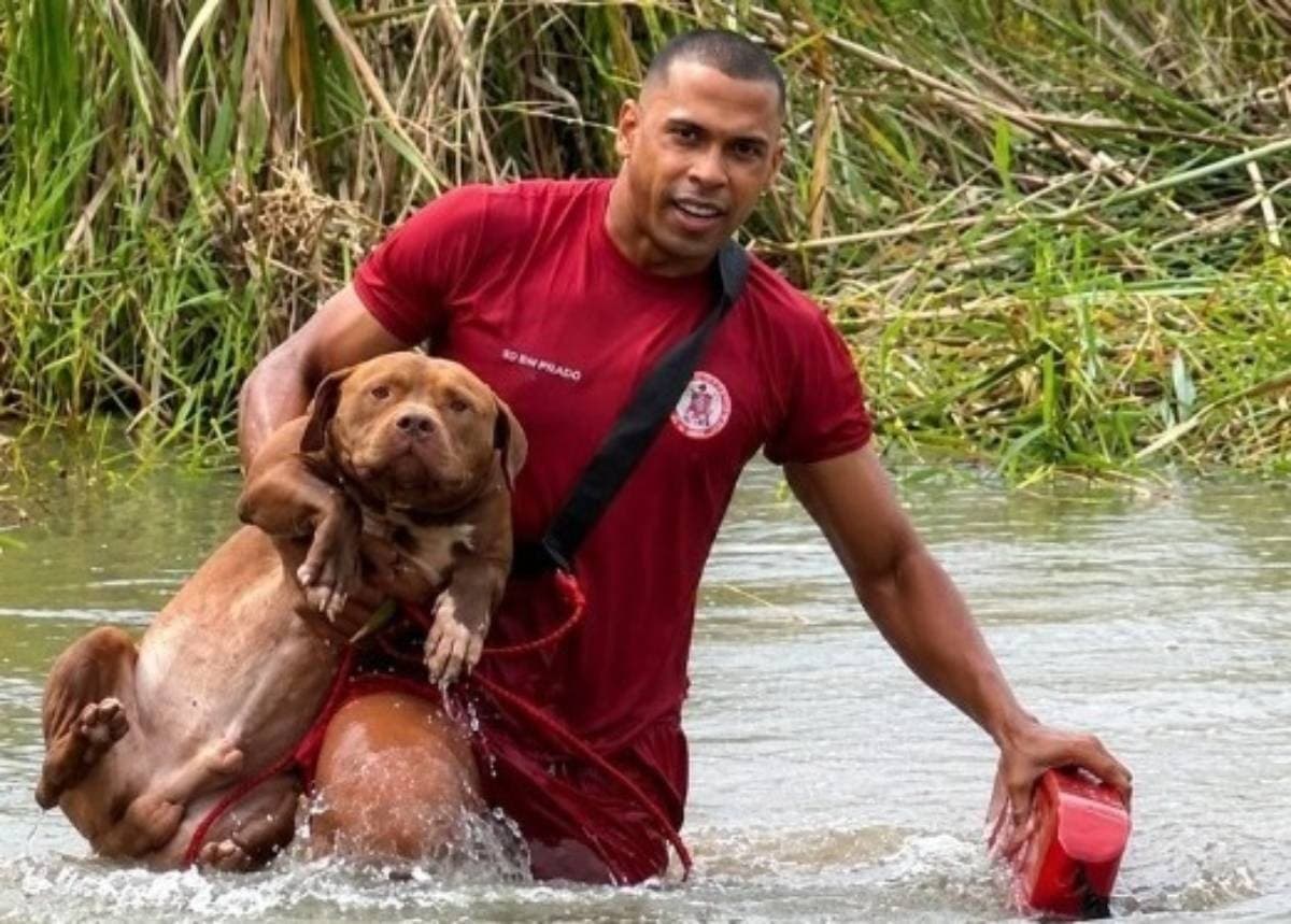 Bombeiros militares realizam resgate de cão pitbull em lagoa de praça em Eunápolis, Bahia
