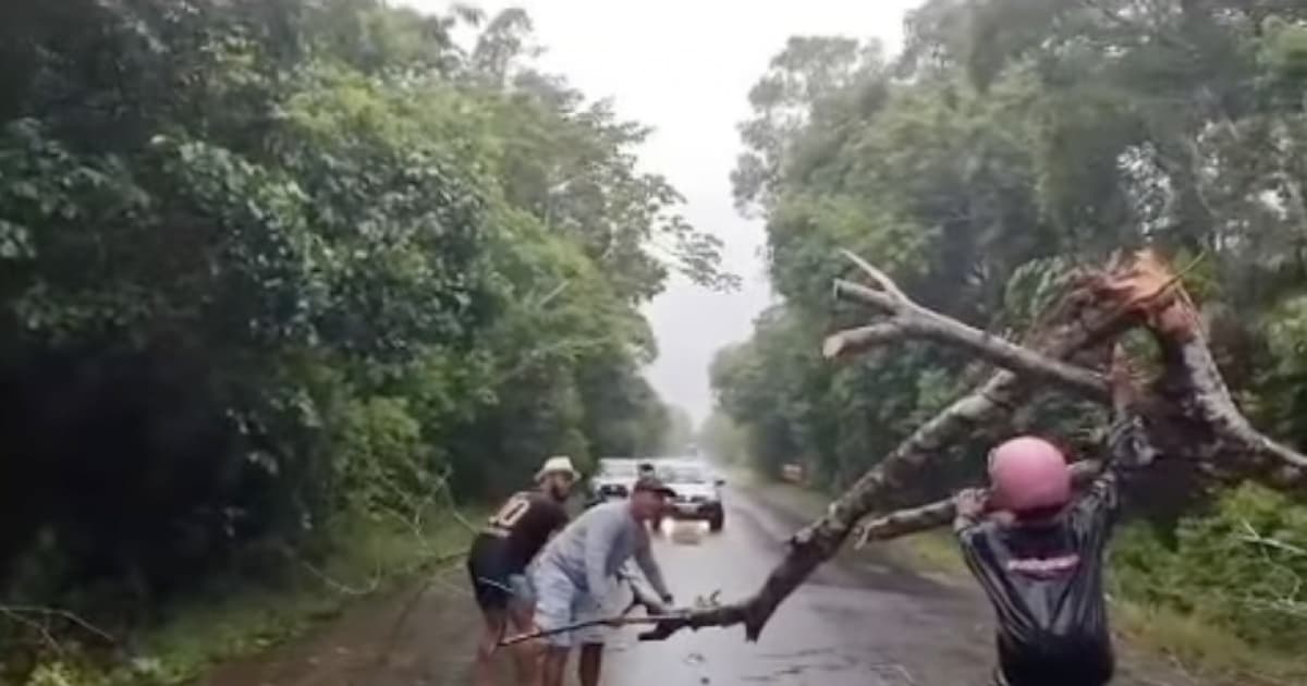 Foto: Reprodução / Redes Sociais