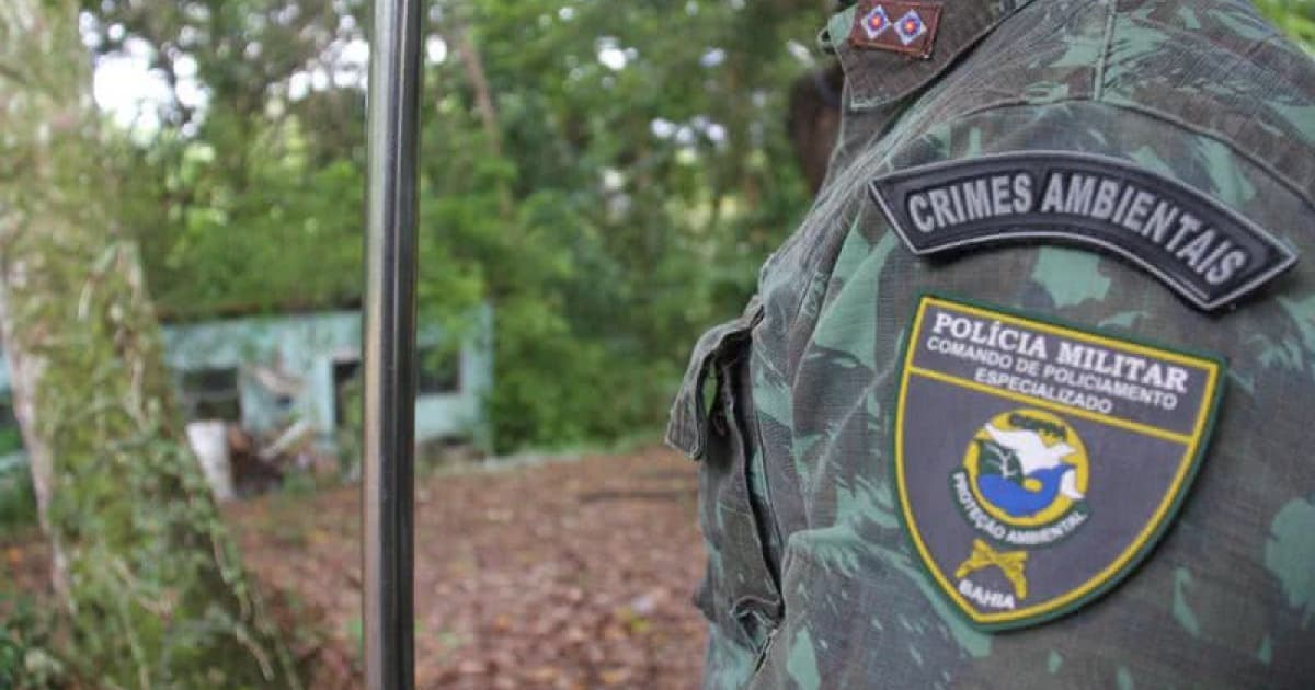 Foto: Divulgação SSP