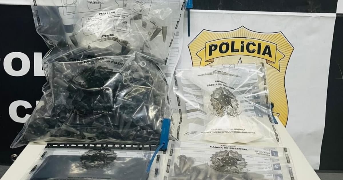 Foto: Divulgação / Polícia Civil