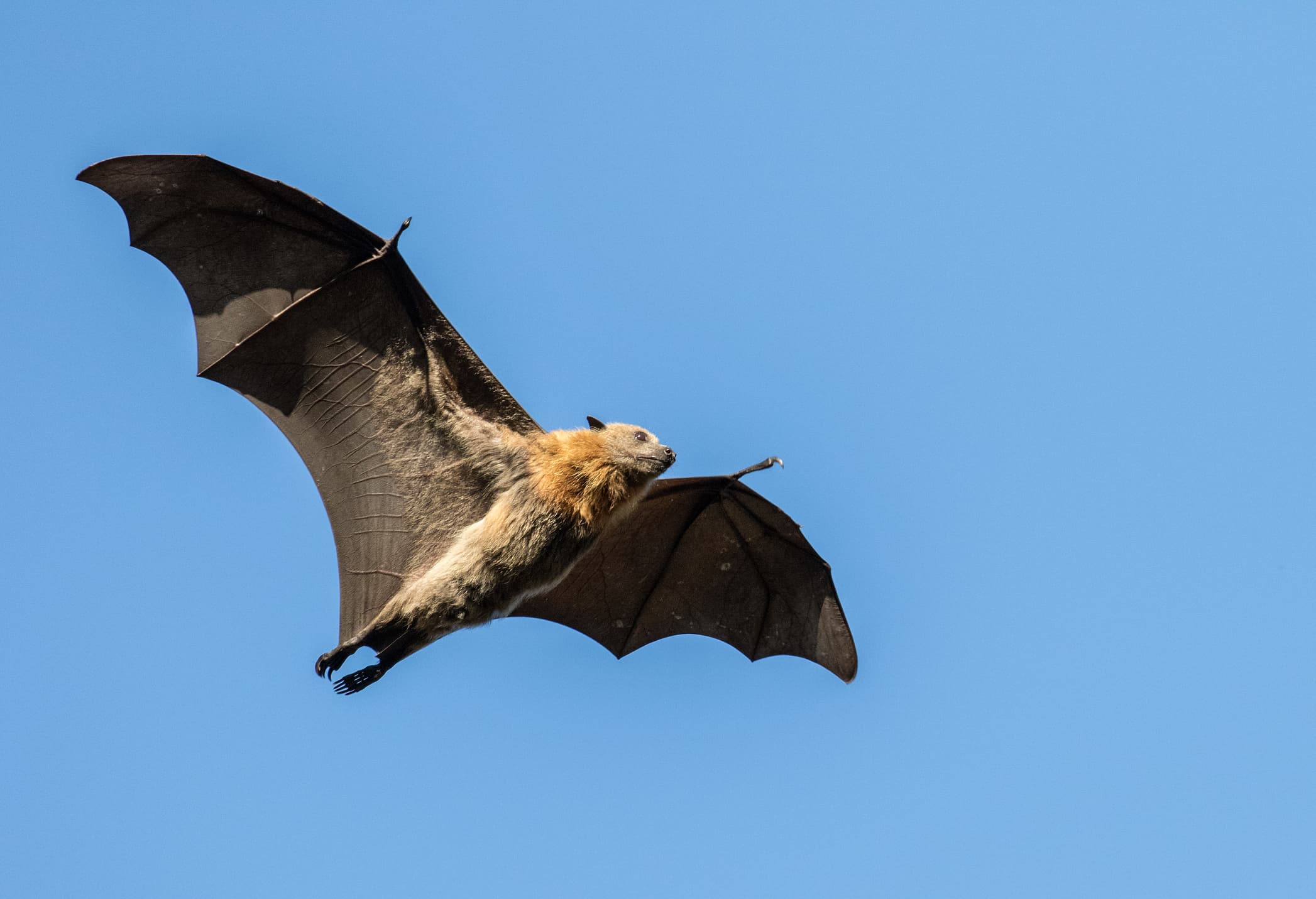 Imagem: Ken Griffiths/iStock