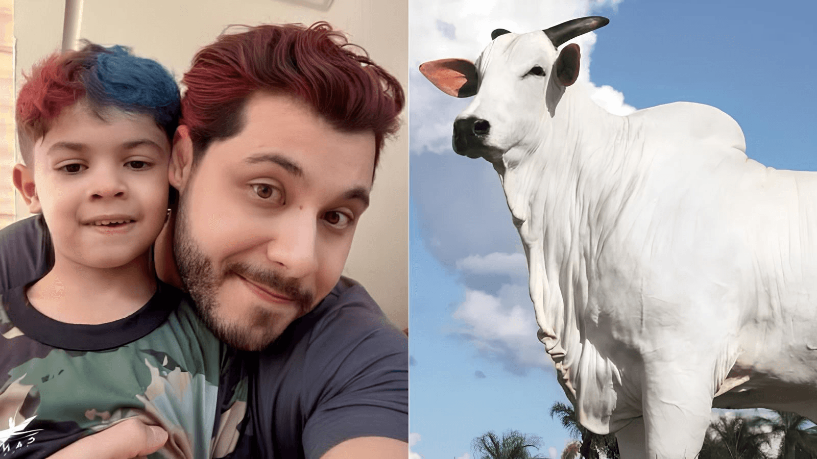 Imagem: Reprodução/Redes Sociais/SAP Assessoria