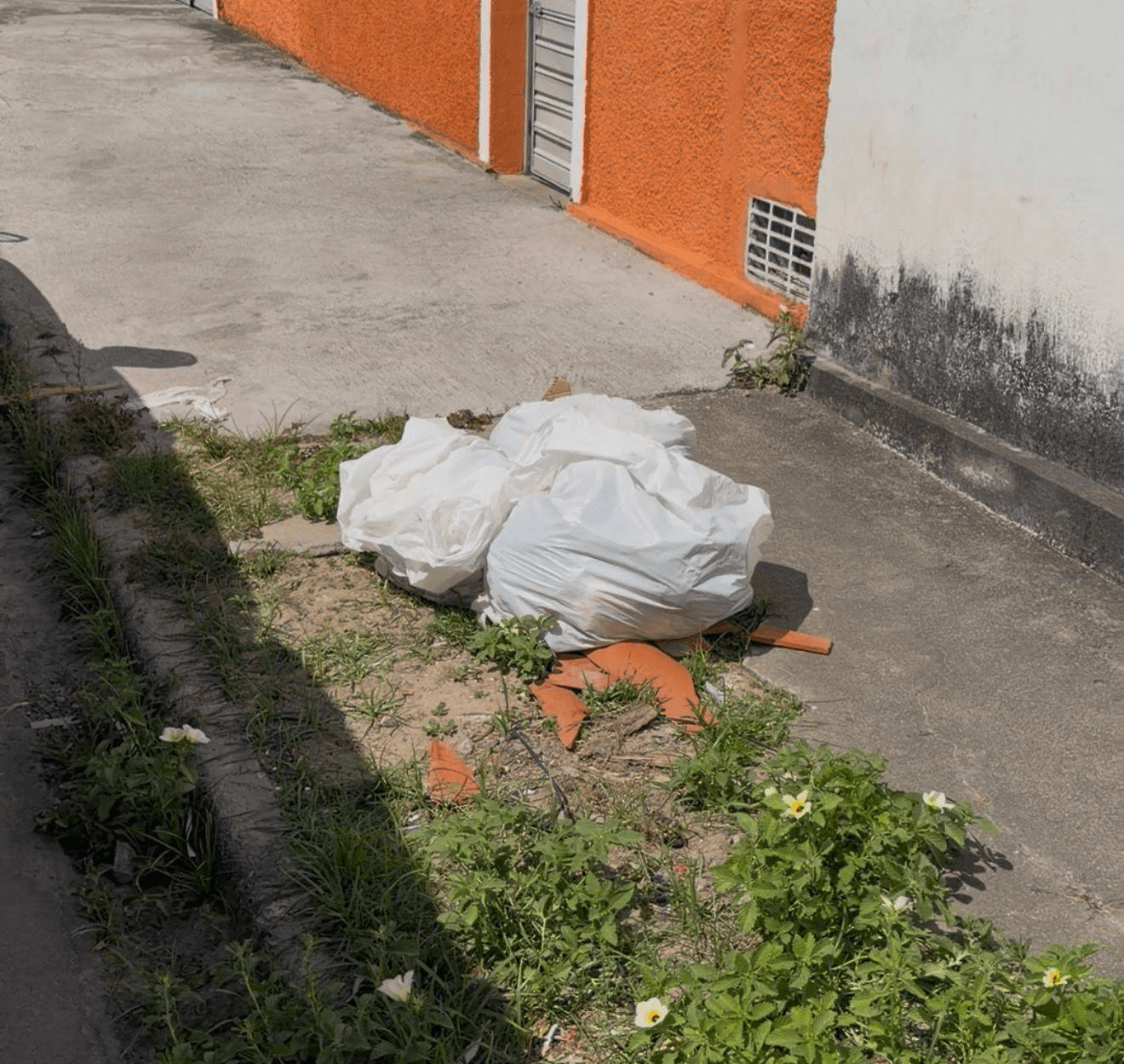 Imagem: Ítalo Timóteo