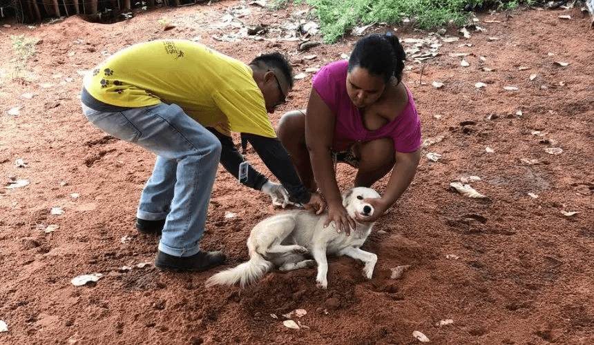 Imagem: Reprodução