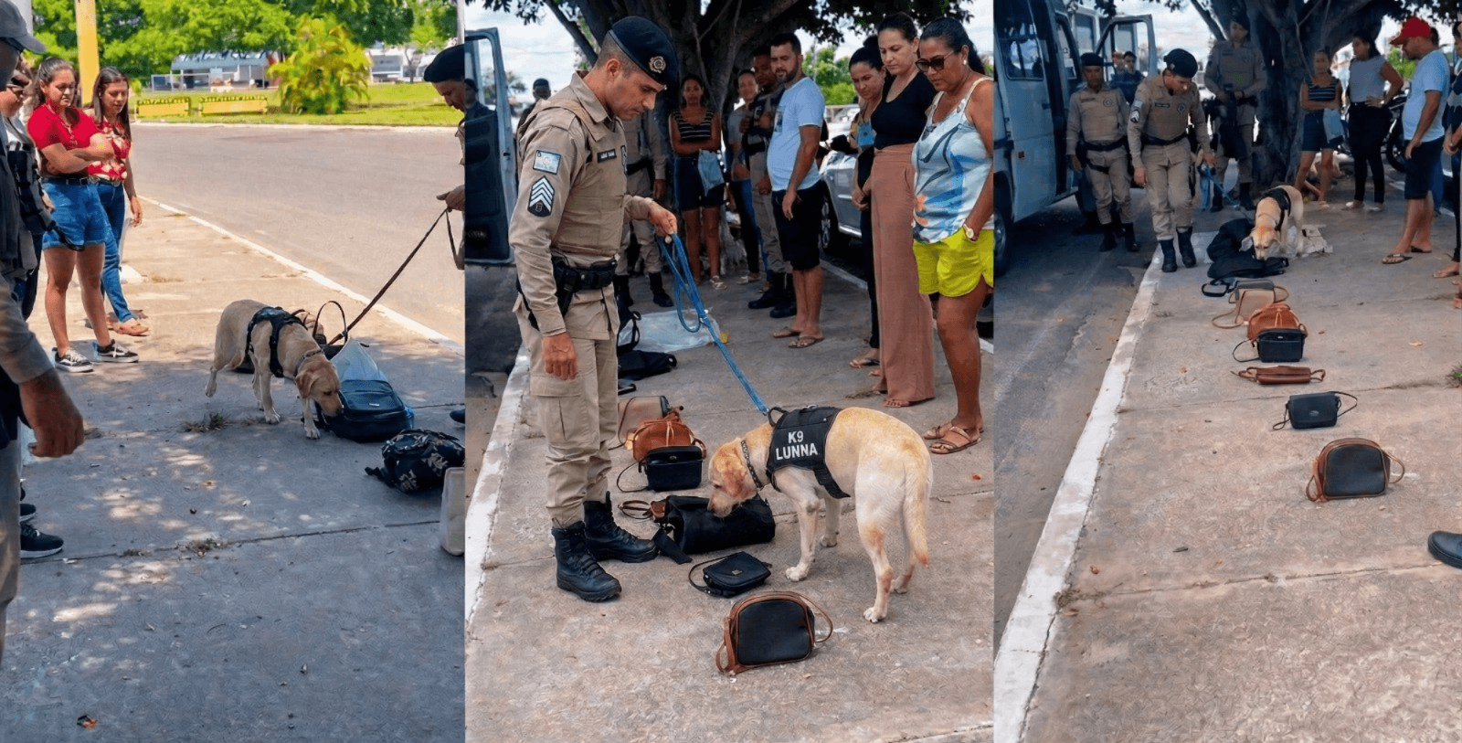 Imagem: Reprodução/Redes sociais