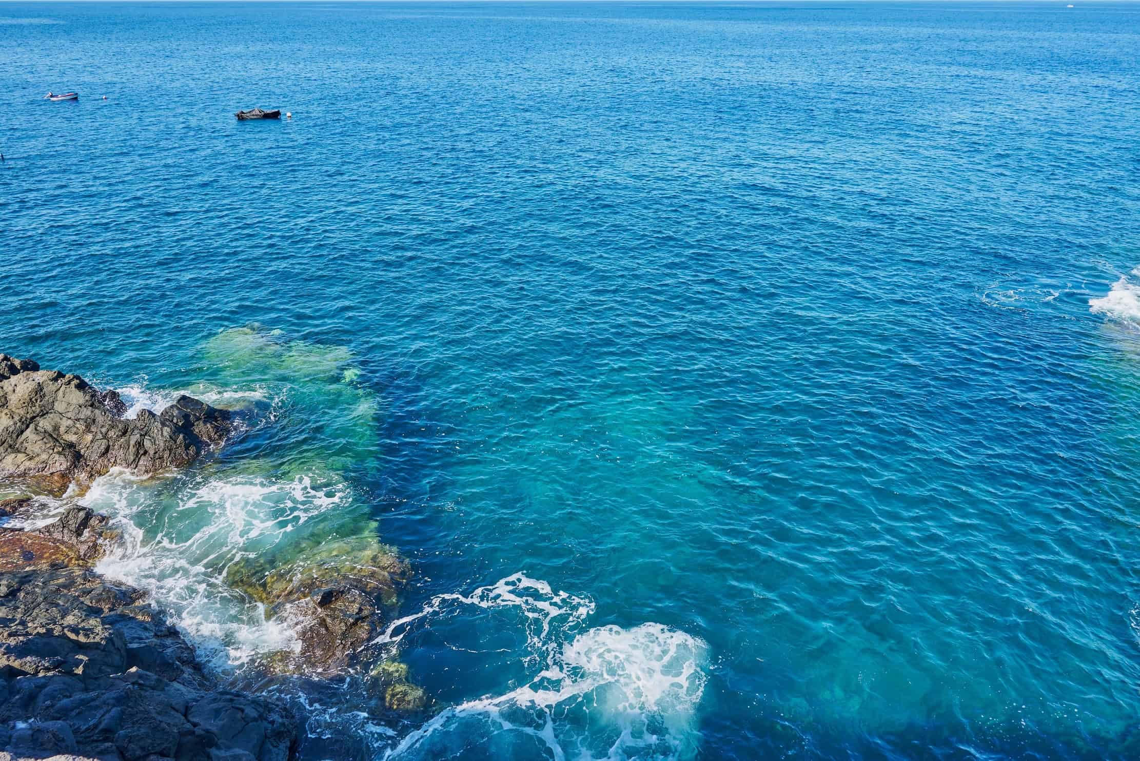 Pesquisa inédita reconstrói a história evolutiva dos peixes de ilhas oceânicas do Atlântico (Imagem: OvidiuGG / Shutterstock)