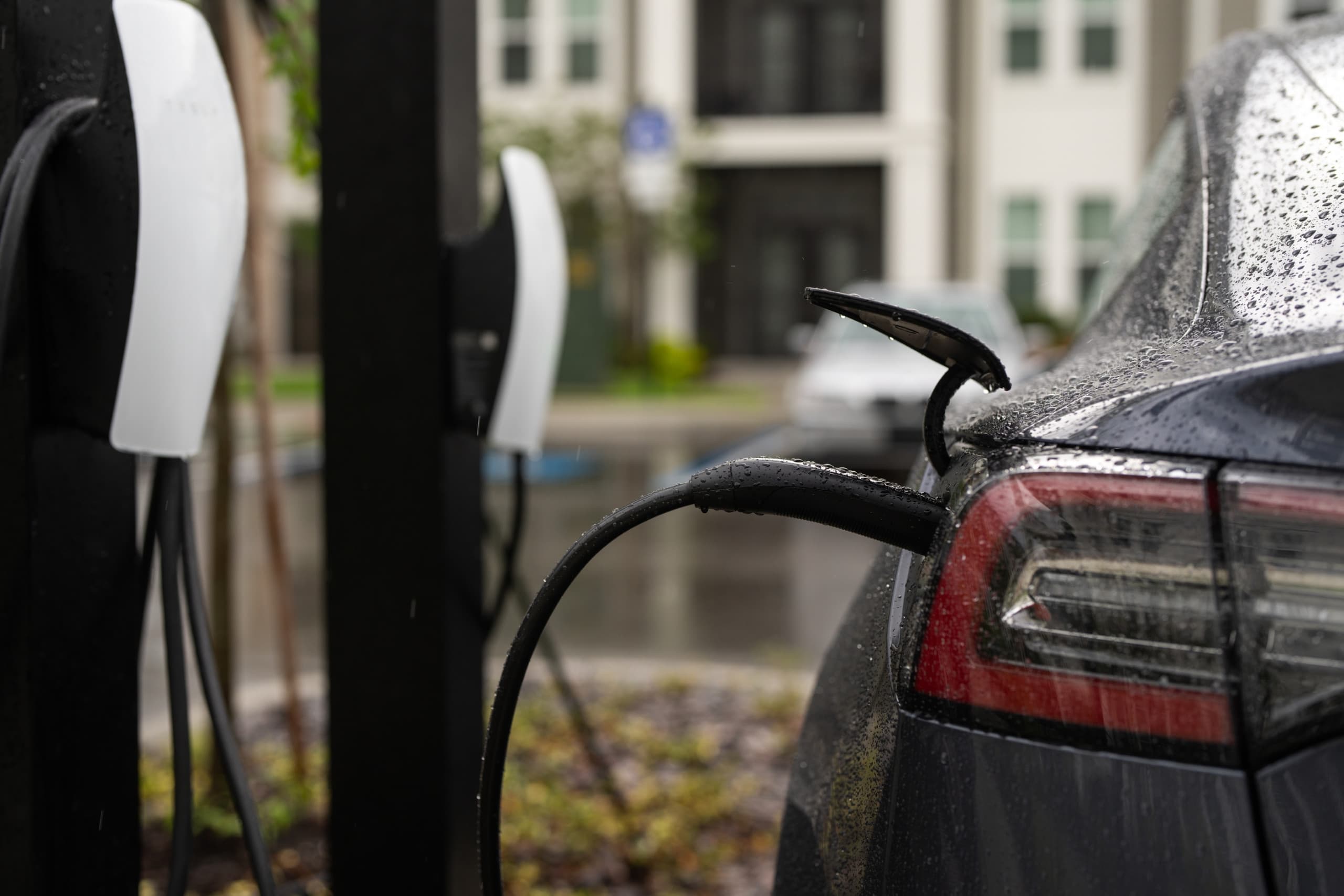 Carros elétricos crescem na América do Sul com domínio de montadoras chinesas (Imagem: Volodymyr TVERDOKHLIB / Shutterstock)