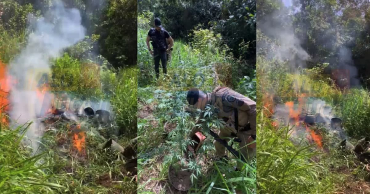 Foto: Reprodução / Alô Juca