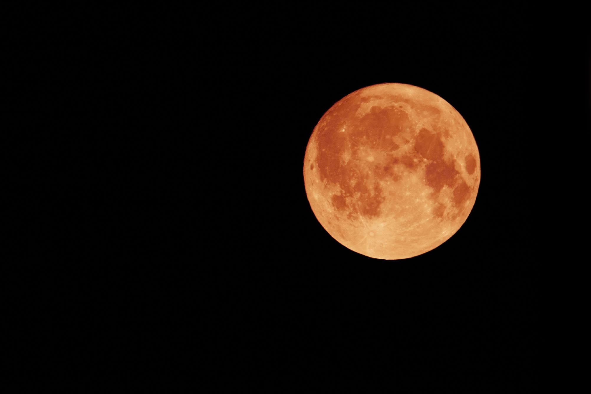 Imagem: BILL STEFANIS/Shutterstock