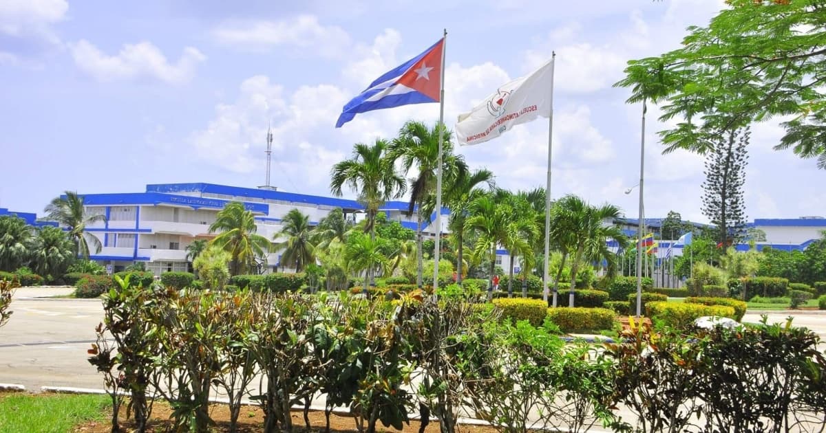 Foto: Reprodução / Elam