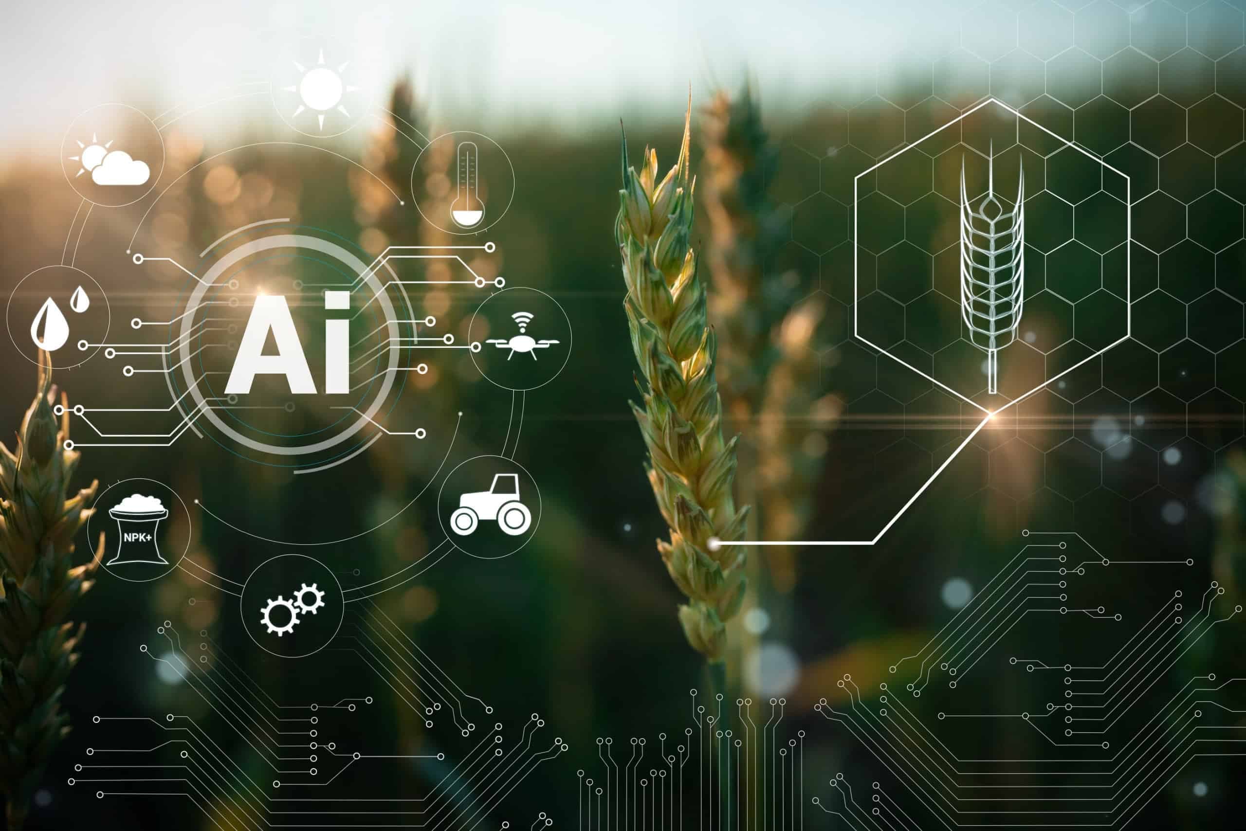 Agricultura ganha eficiência com IA e robótica em fazendas dos EUA (Imagem: Leonid Sorokin / Shutterstock)