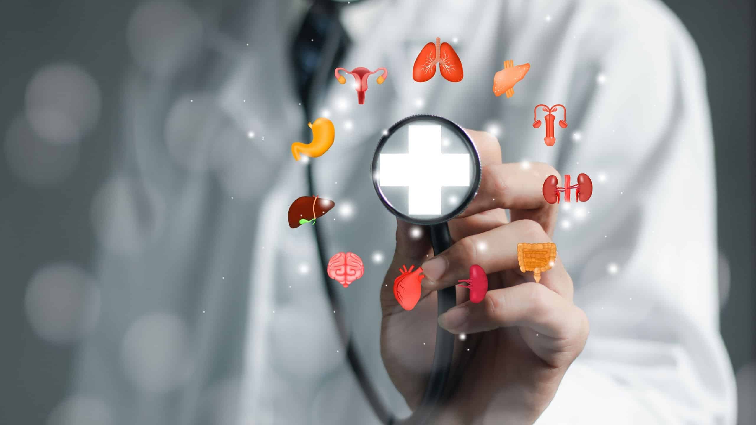 Fazer um check-up anual é essencial para prevenir doenças e manter a saúde em dia/Shutterstock_Ei Ywet
