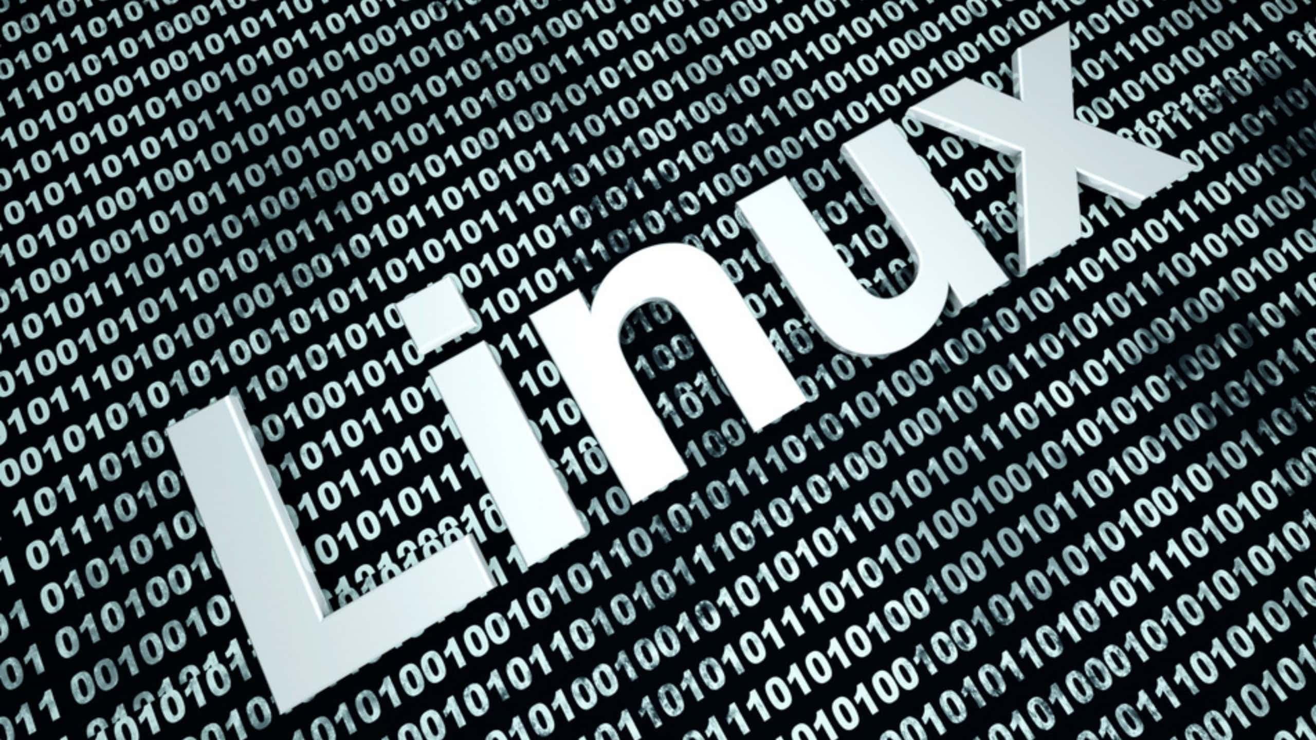Sistema operacional Linux - Imagem: Spectral-Design/Shutterstock