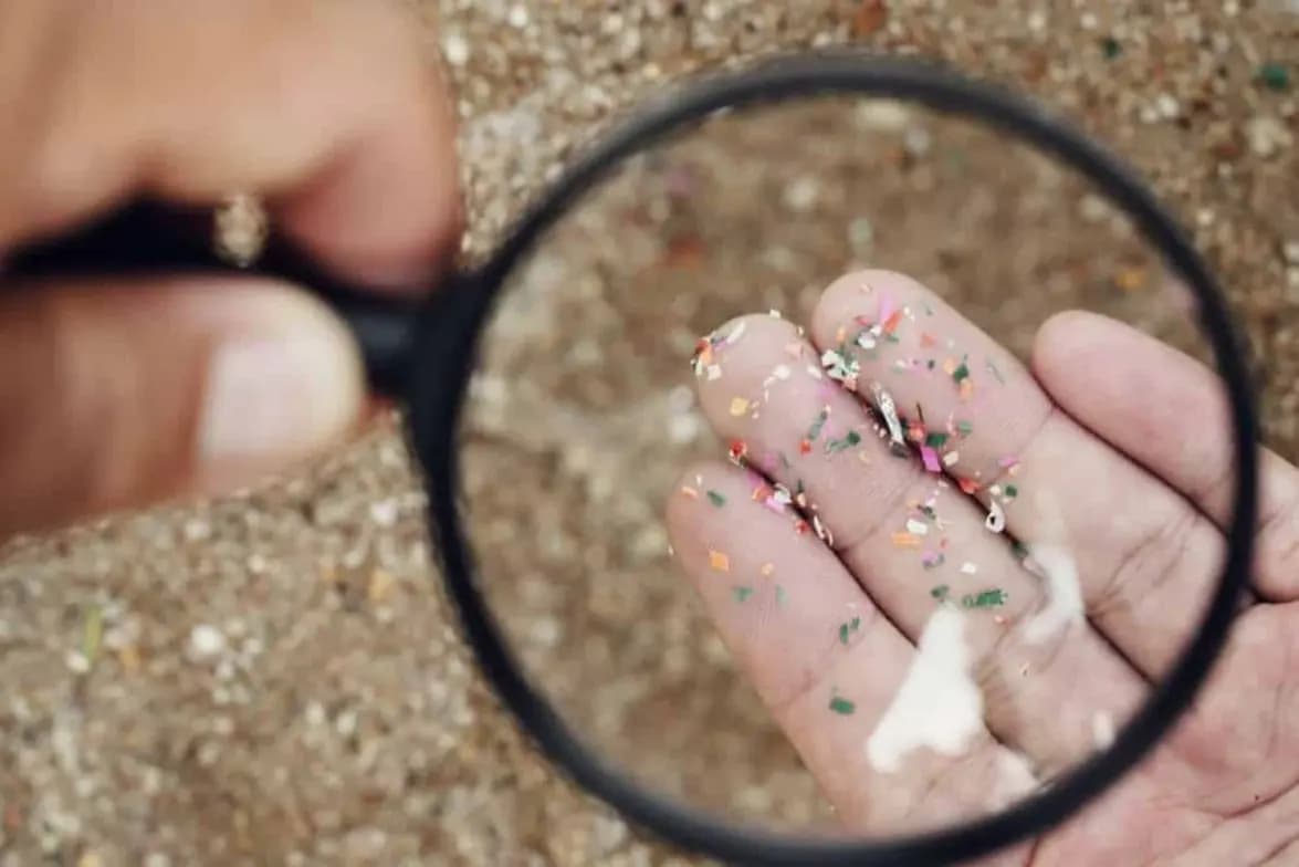 Estudo sugere que nariz transporta microplásticos até o cérebro (Imagem: SansoenSaengsakaorat/Shutterstock)