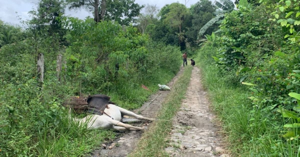 Foto: Reprodução / Ubatã Notícias