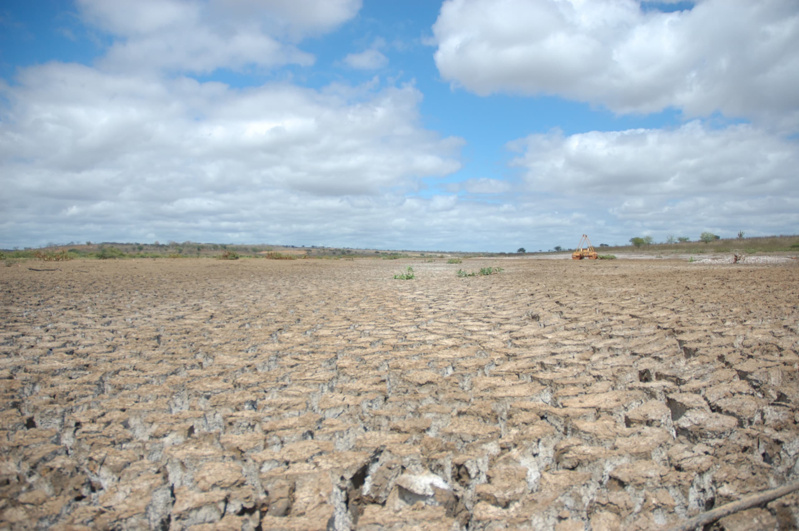 Relatório do CEPAS na COP30 mostra avanço da aridez no Nordeste e exige medidas imediatas contra desertificação. Crédito: Elton Abreu - Shutterstock