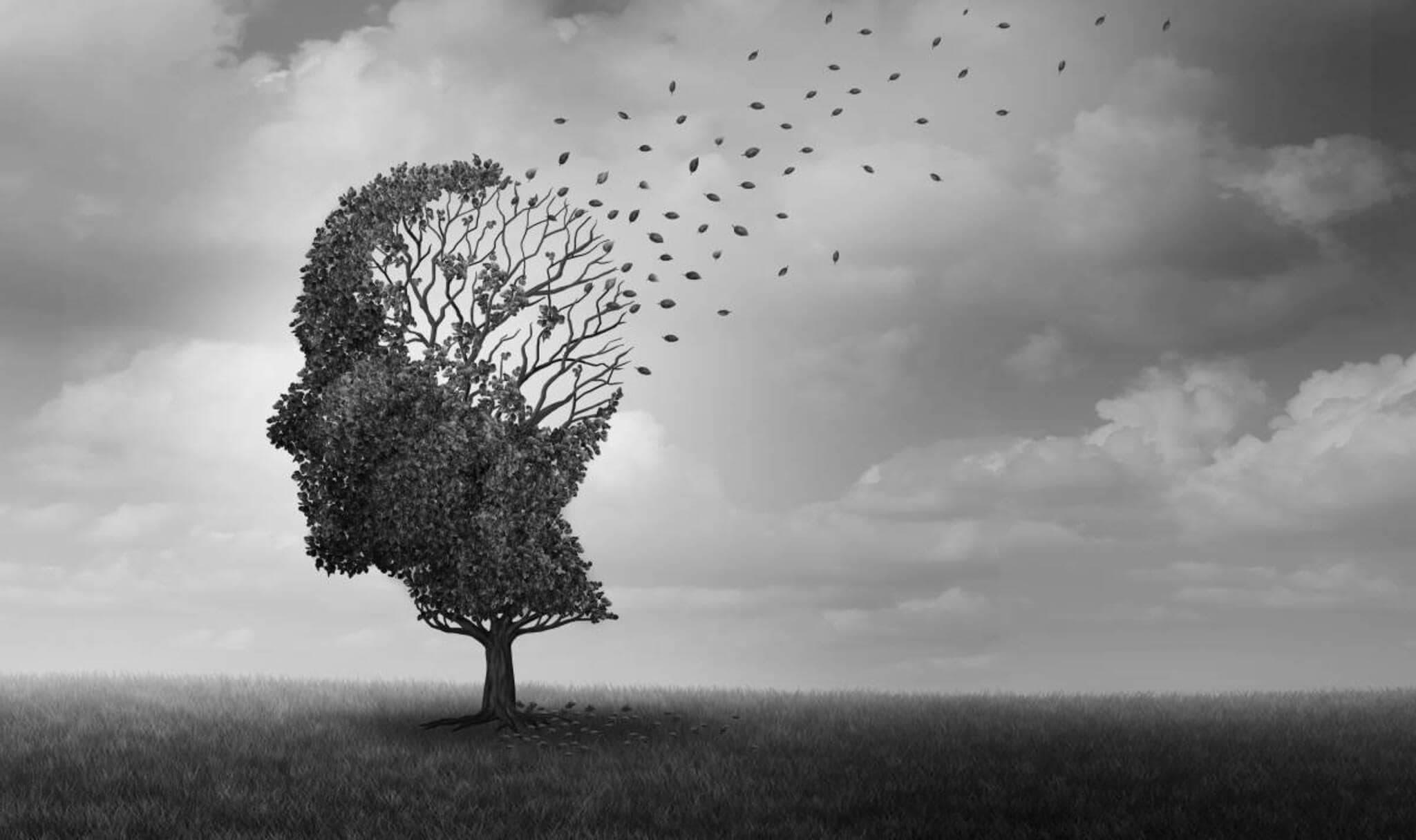 Imagem: Lightspring/Shutterstock