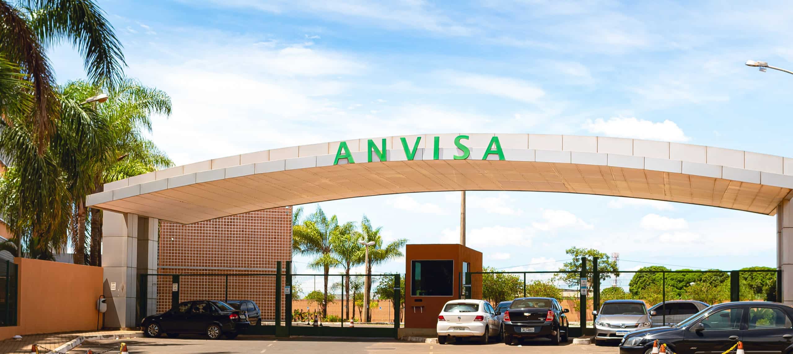 Anvisa proíbe azeite Ouro Negro, sal do Himalaia e “Chá do Milagre” por irregularidades (Imagem: Rmcarvalho/iStock)