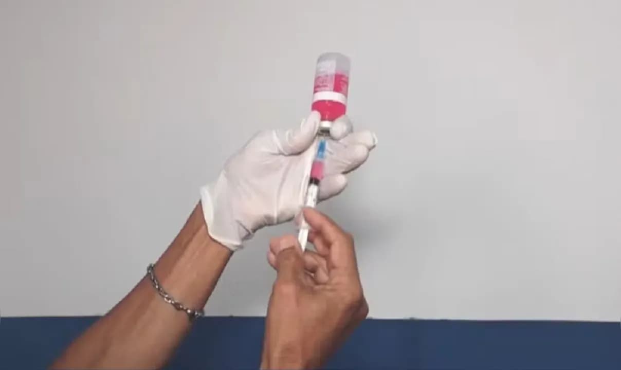 Vacinação contra raiva.