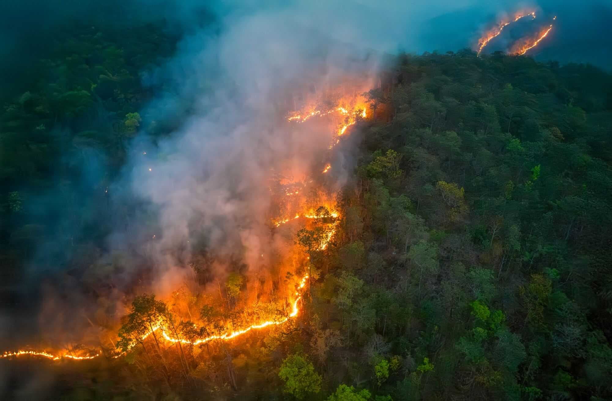 (Imagem: Toa55 / Shutterstock.com)