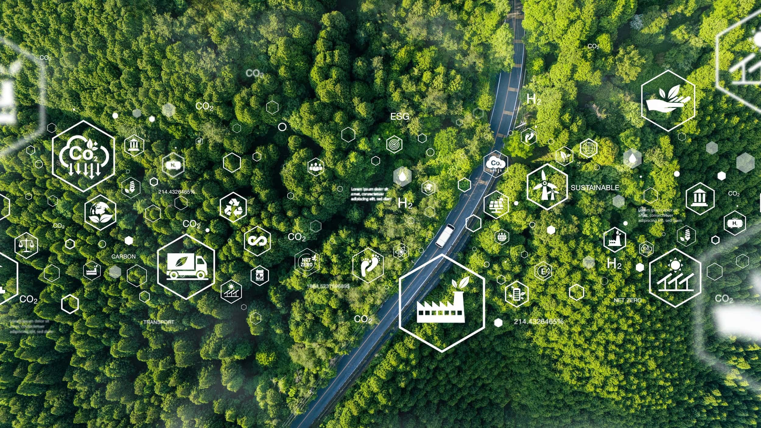 COP30: relatório destaca que Brasil pode gerar 10 milhões de empregos na economia sustentável (Imagem: dee karen / Shutterstock)
