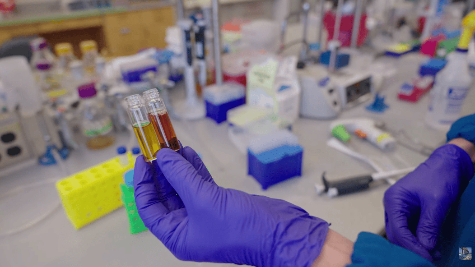 Método inovador para produção de xantomatina é desenvolvido