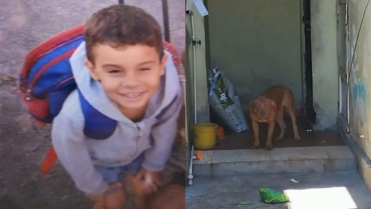 Menino de 4 anos morre após ser atacado por pitbull em casa de amiga da mãe