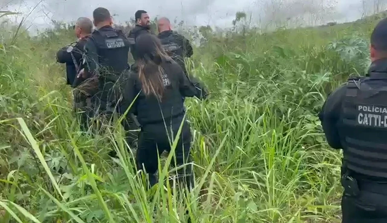 Operação contra facções no Recôncavo da Bahia chega a “nível de guerra”, afirma PM