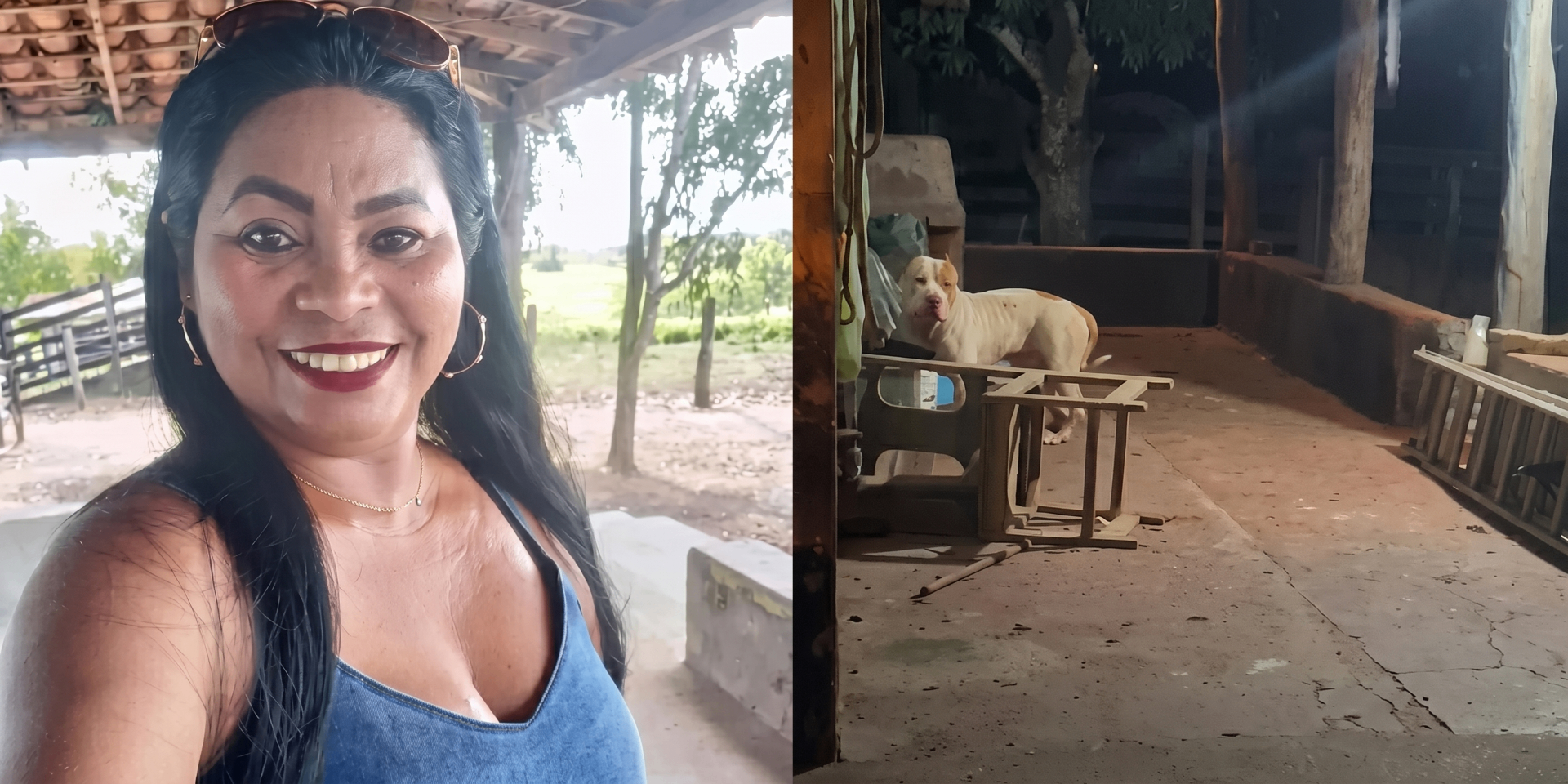 Mulher morre após ser atacada pelo próprio pitbull dentro de casa