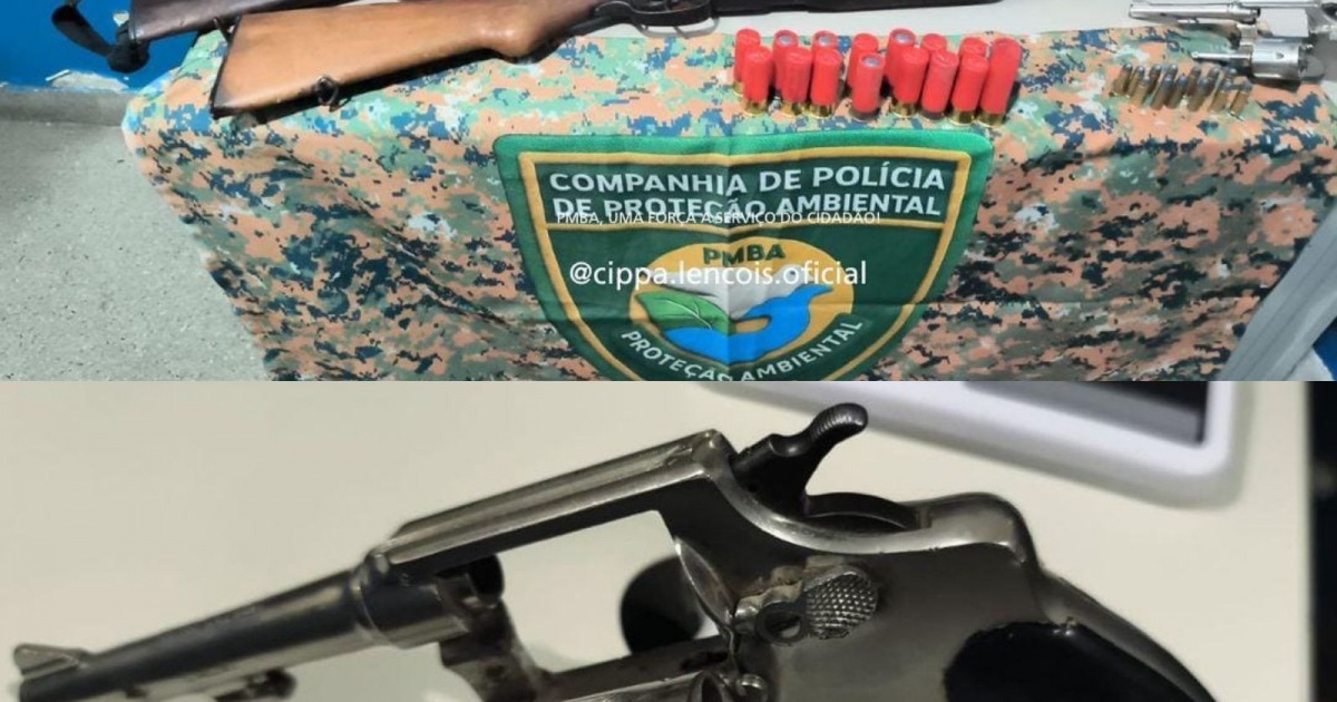 PM apreende seis armas e carne de caça ilegal em Morpará, BA