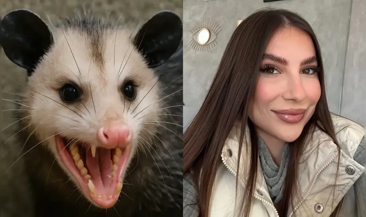 Tamires chama Martina de 'mucura fedida' em A Fazenda 17